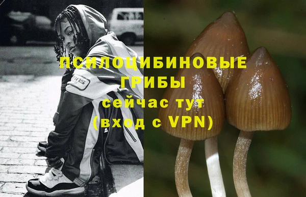 гидропоника Алзамай